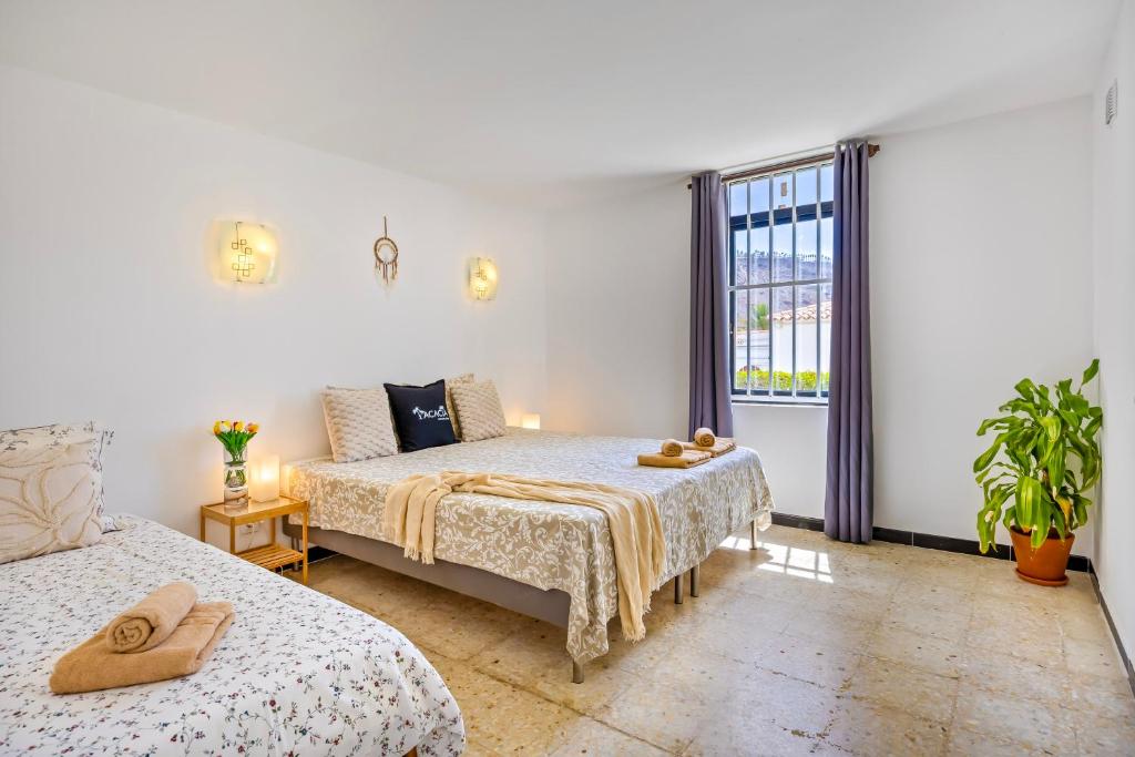 3BR Tauro Bungalow - Garden, Terrace, Sleeps 6 — 5