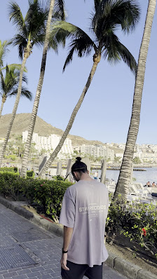 Al Paradise | ANFI DEL MAR — 3