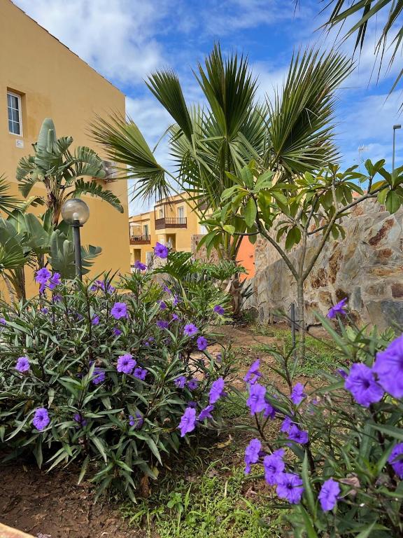 Aloha Apartman Arguineguin — 4
