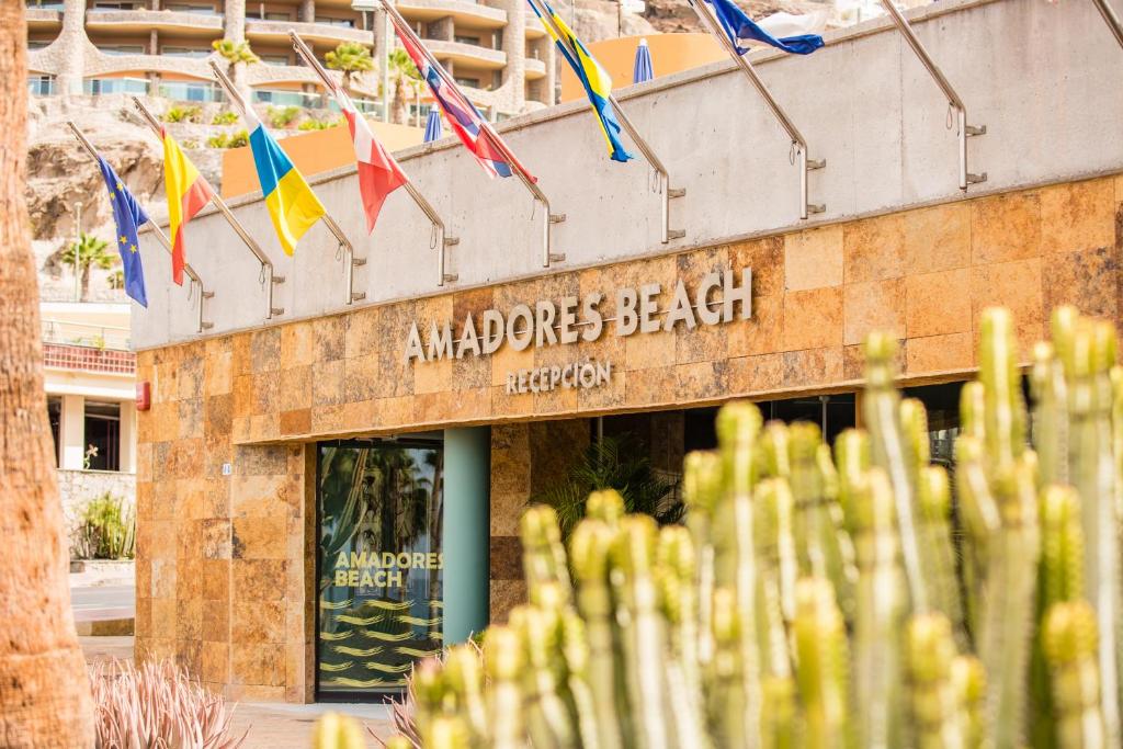 Apartamentos Amadores Beach — 7