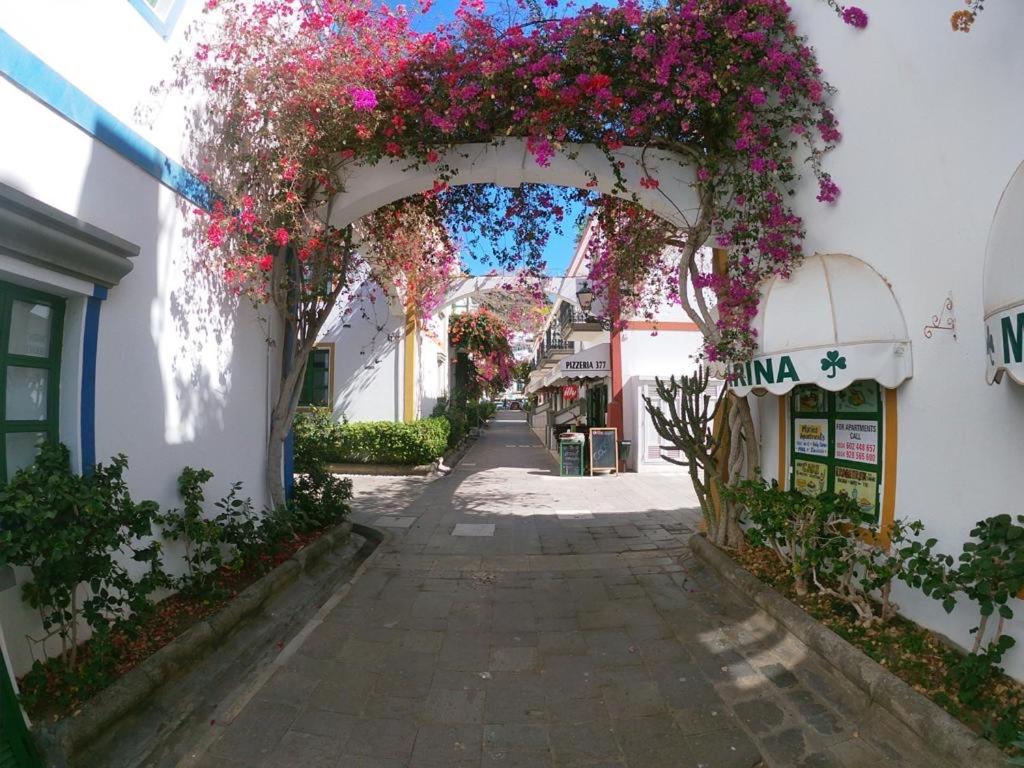 Apartamentos Ernesto — 5