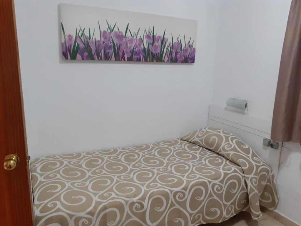 Apartamentos Niza — 8