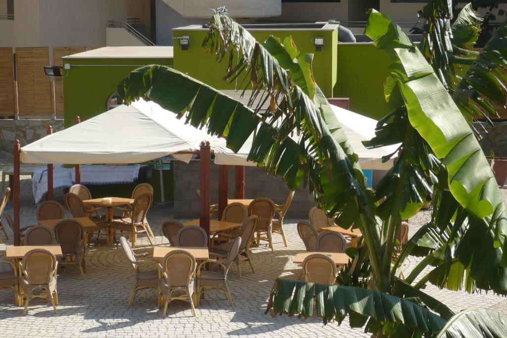 Apartamentos Terraza de Amadores — 10