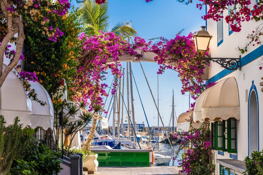 Apartment Valentina - Little Venice, Puerto de Mogan — 3