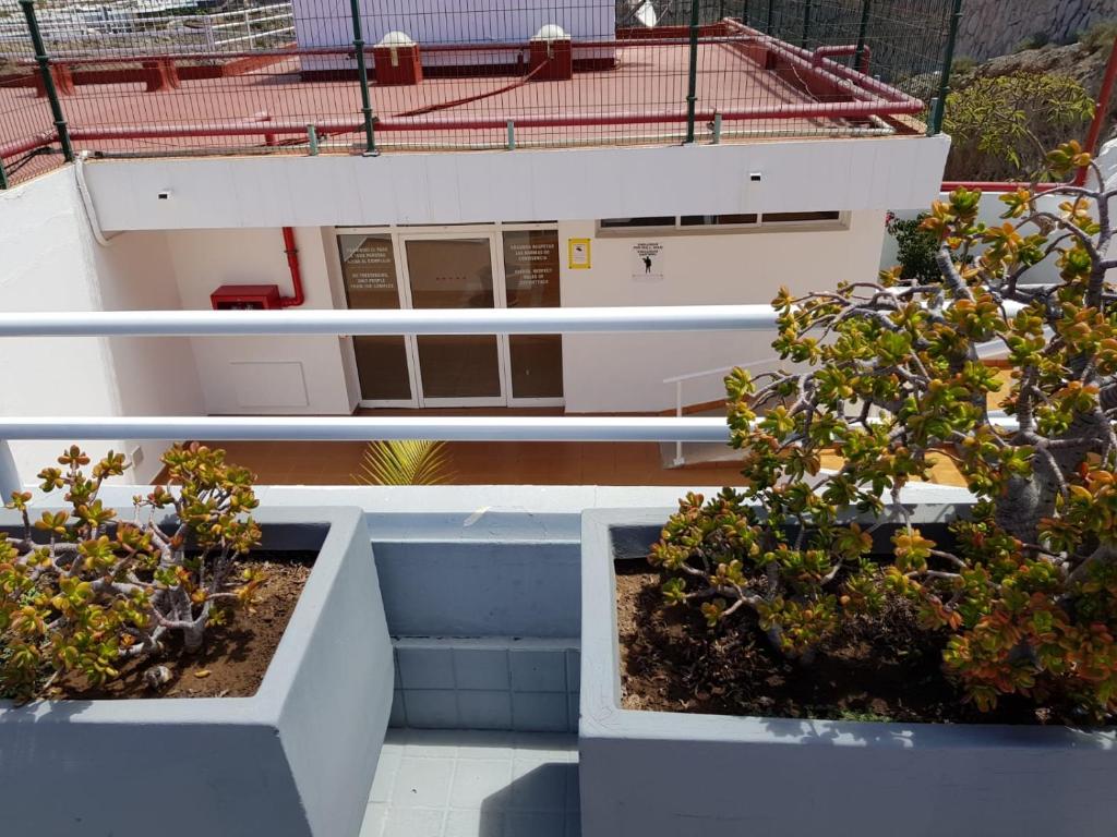 APT with sea view and large swimming pool — 8
