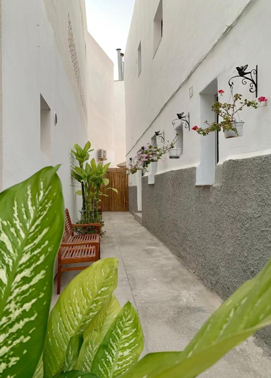 Arguineguin Beach Lux Solarium Petite — 5