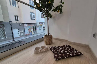 Arguineguin Sun Beach - Two-Bedroom Apartment — 1