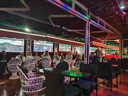 Bar Cactus