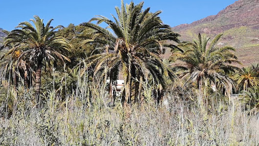 Barranco de Veneguera — 3