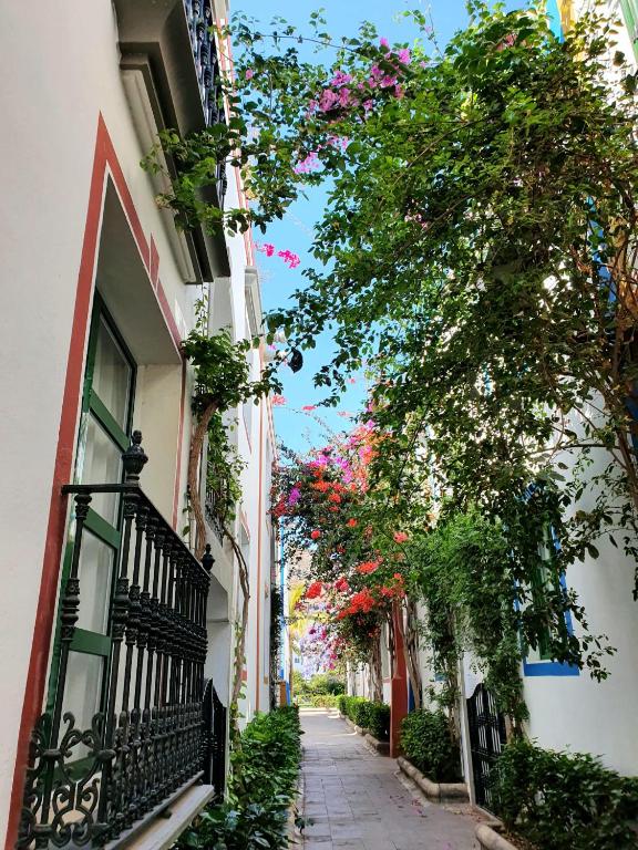 Billy's Puerto de Mogán Apartments by LIVVO — 5