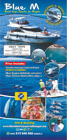 Blue M Boat Trips Puerto de Mogan — 4