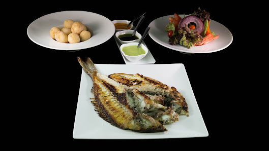 Blue Marlin Mogan — 9