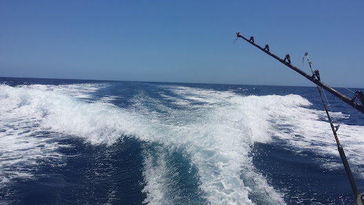 Cal Rei charters — 2