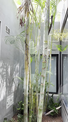 Callao Spa & Wellness — 3