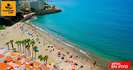 Cámara en vivo playa de Patalavaca