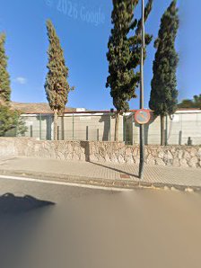 CANARITRÅKKEN GRAN CANARIA — 2