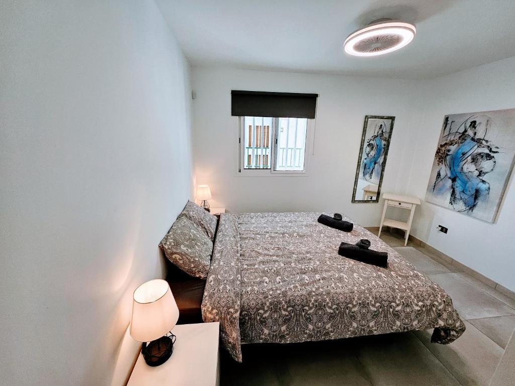 Canary dreams apartment — 10