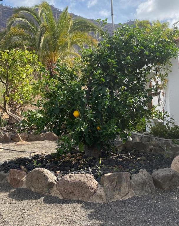 Casa Colonia — 7