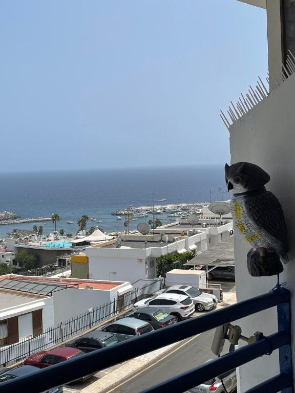 Casa Mar y Sol - Seaview - private parking-renovated studio — 4
