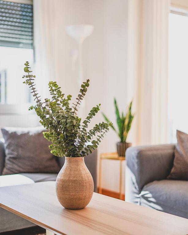 Cornisa Apartments - Apartment with Terrace — 5