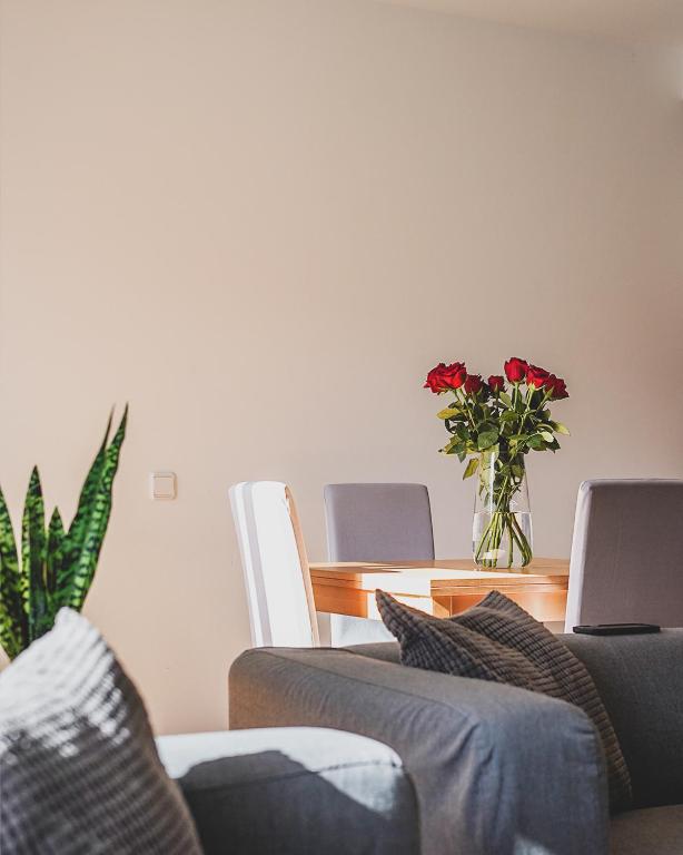 Cornisa Apartments - Apartment with Terrace — 6
