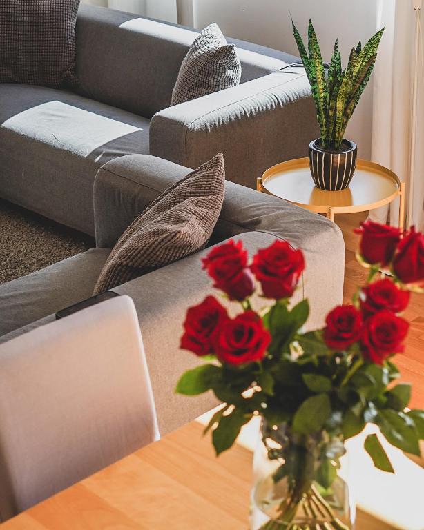 Cornisa Apartments - Apartment with Terrace — 7