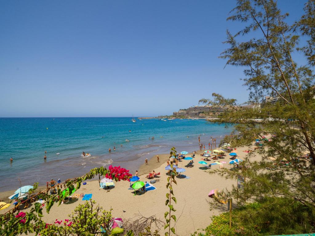 Doñana Home Gran Canaria Stays — 2