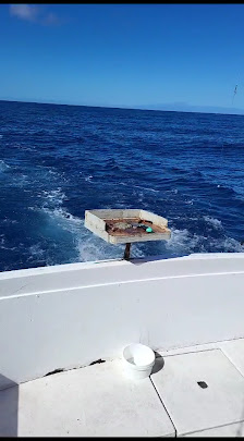 Dorado Sport Fishing — 3