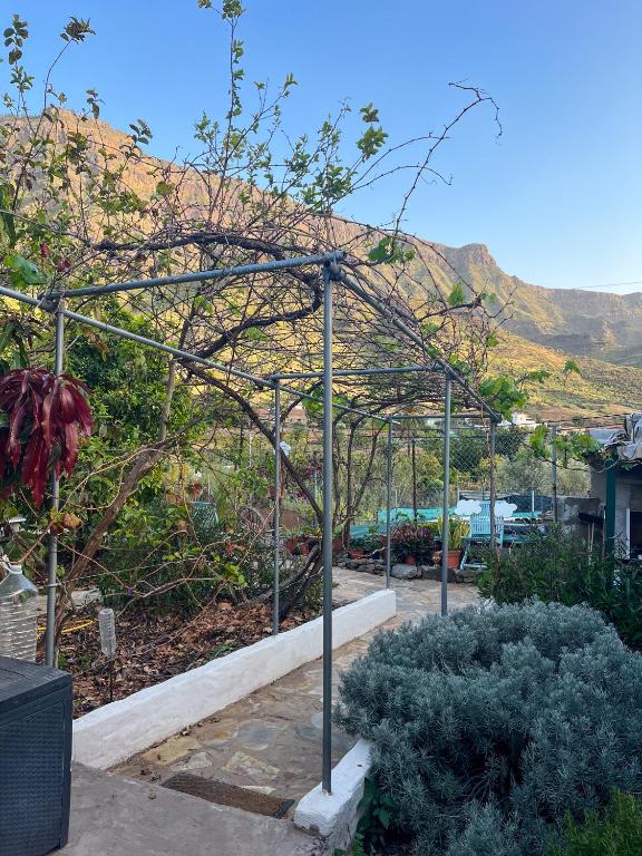 Eco Finca Mogán — 1