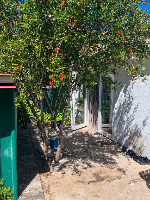 Eco Finca Mogán — 4