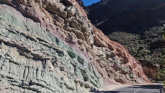 Especialidades De Las Islas Canarias — 3