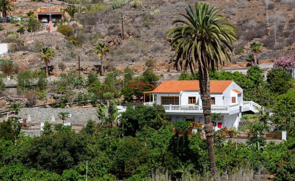 Finca el Moral — 9
