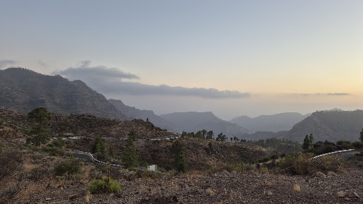 FINCA MOGÁN — 1
