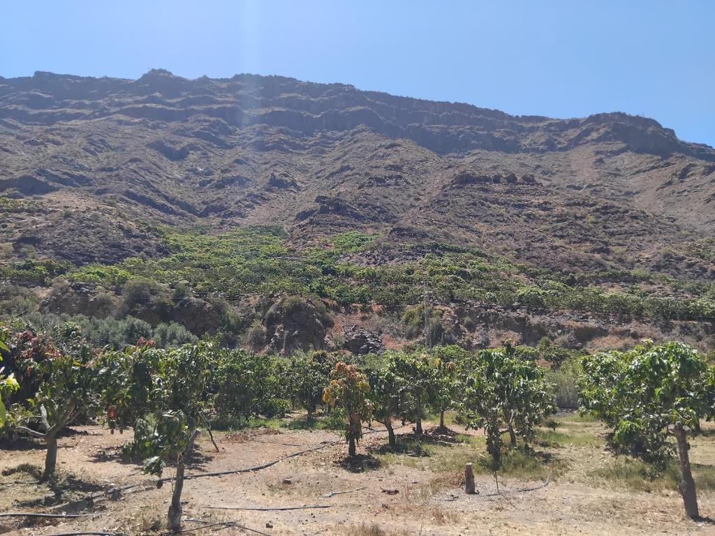 Finca Nim 1 — 3