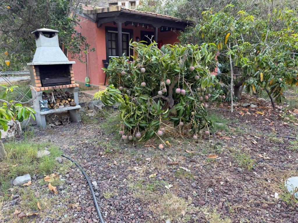 Finca Nim 1 — 4