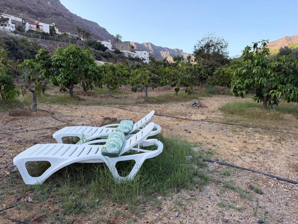 Finca Nim 1 — 7