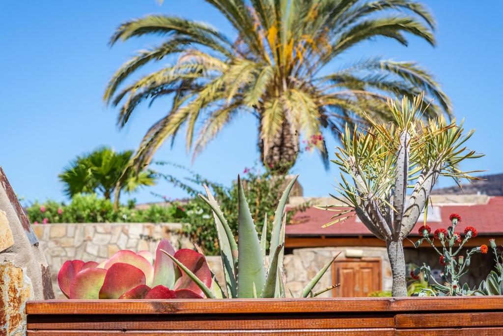 GranTauro Holiday Villas — 2