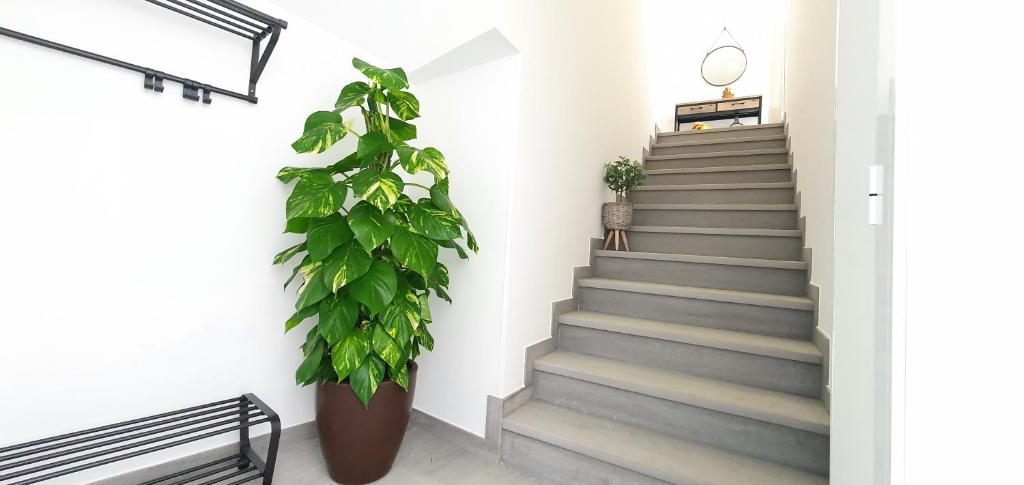 HD Mogán Canal Apartments — 11