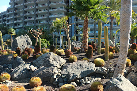 Jardín Anfi del Mar — 1
