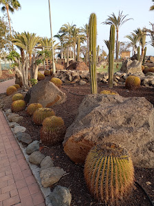 Jardín Anfi del Mar — 4