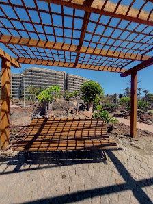 Jardín Anfi del Mar — 5