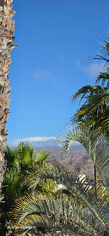 Las Tuneras — 6