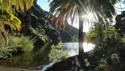 Mogán (Bar Los Pinos)