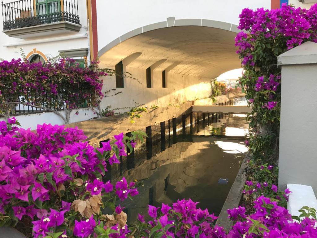 Mogan Valle Cercado — 2