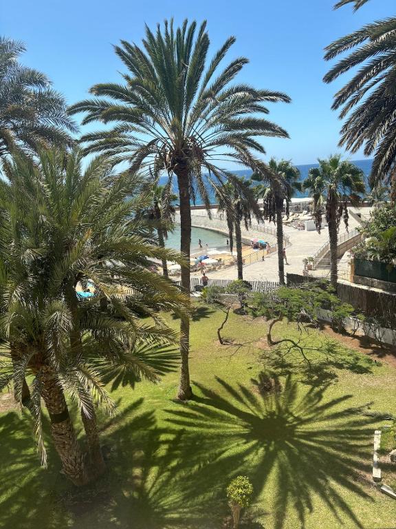 Nice Studio Apartment with Ocean View — 1
