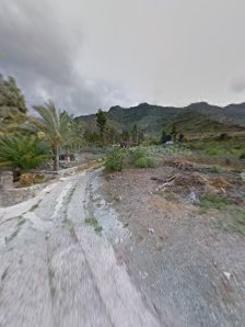Olli Mar Excursions Gran Canaria — 5
