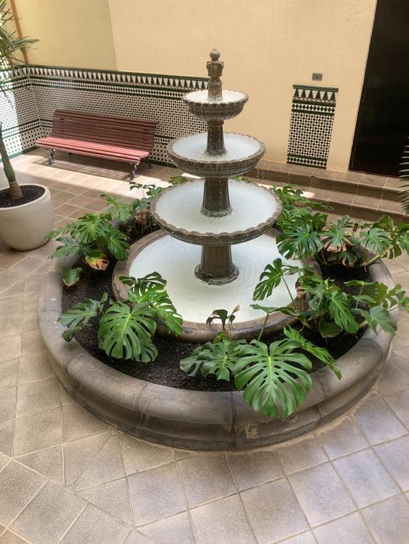 OMBÚLAFUENTE — 11