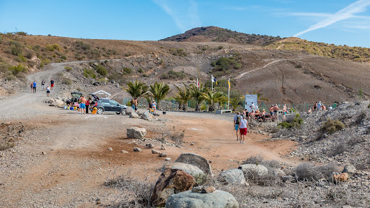 Palmeral Noruego Norskeplassen — 2