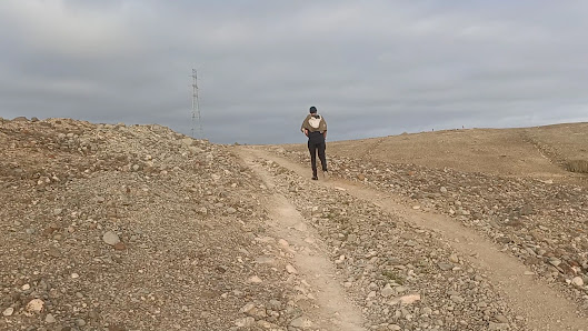 Palmeral Noruego Norskeplassen — 3