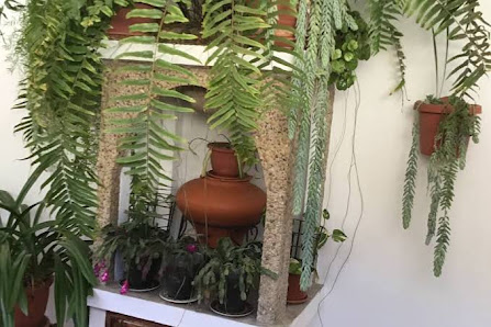 Pet Friendly Very Quiet House Pool Terrace and Sea Views — 3
